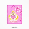 【Made-to-order item / Pretty Guardians members only】10years Anniversary Acrylic stand（Five types）